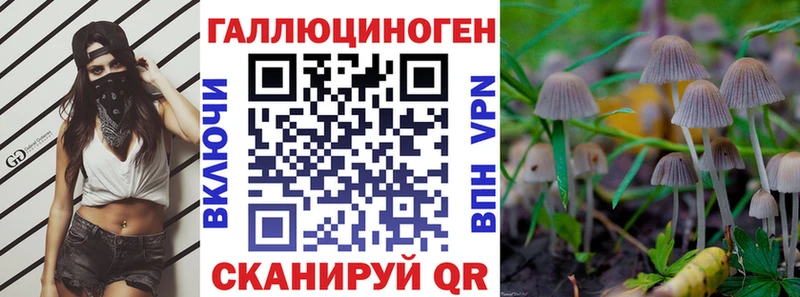 Галлюциногенные грибы GOLDEN TEACHER магазин продажи Кашира